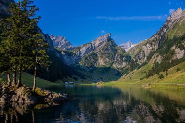 güzel Appenzell dağ bölgesi boyunca keşif turu 