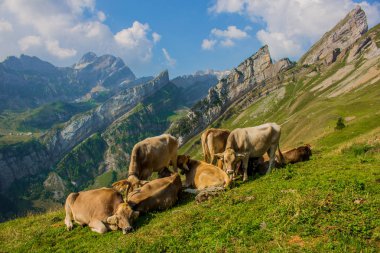 güzel Appenzell dağ bölgesi boyunca keşif turu 
