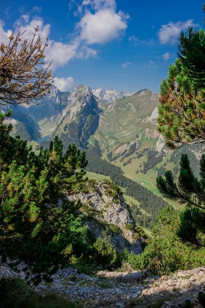 Visite Exploratoire Travers Belle Région Montagneuse Appenzell — Photo