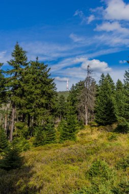 harz Dağları üzerinden keşif turu