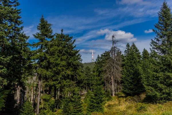 Erkundungstour Durch Den Harz — Stockfoto