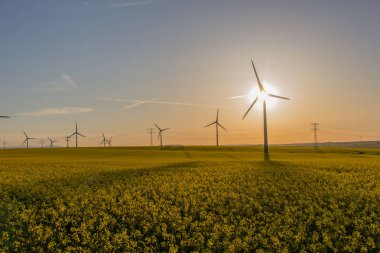 güzel Erfurt eski şehrin keyfini çıkarın 