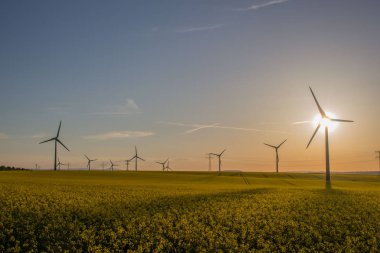 güzel Erfurt eski şehrin keyfini çıkarın 