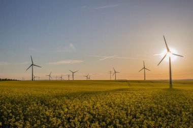 güzel Erfurt eski şehrin keyfini çıkarın 