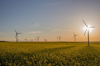 güzel Erfurt eski şehrin keyfini çıkarın 