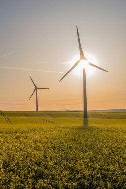 güzel Erfurt eski şehrin keyfini çıkarın 