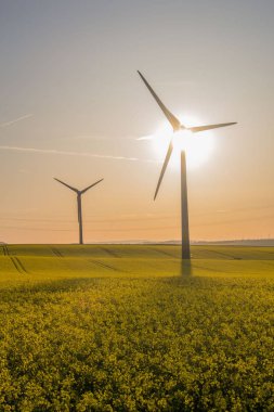 güzel Erfurt eski şehrin keyfini çıkarın 