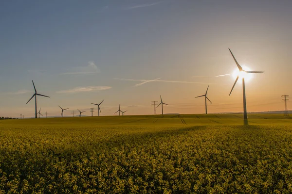 güzel Erfurt eski şehrin keyfini çıkarın 
