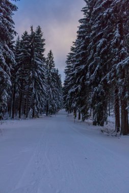 Kış Harikalar Diyarı Thuringian Forest