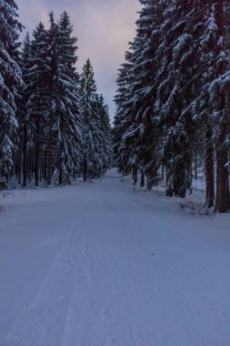 Kış Harikalar Diyarı Thuringian Forest