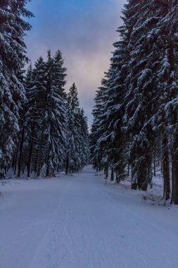 Kış Harikalar Diyarı Thuringian Forest