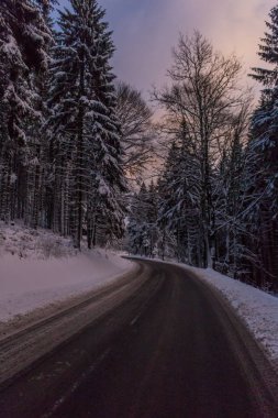 Kış Harikalar Diyarı Thuringian Forest