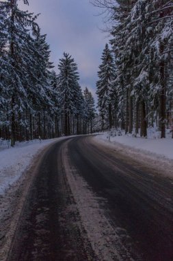 Kış Harikalar Diyarı Thuringian Forest