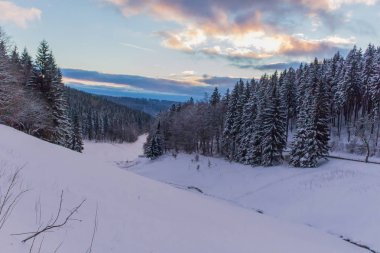 Kış Harikalar Diyarı Thuringian Forest
