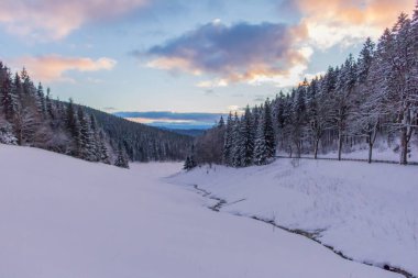 Kış Harikalar Diyarı Thuringian Forest