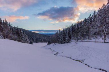 Kış Harikalar Diyarı Thuringian Forest