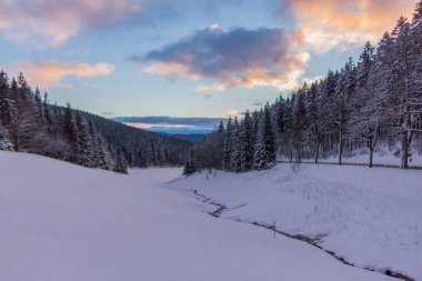 Kış Harikalar Diyarı Thuringian Forest