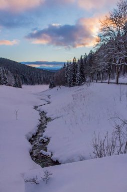 Kış Harikalar Diyarı Thuringian Forest