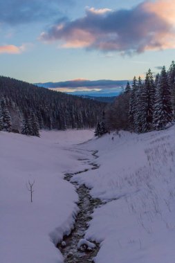 Kış Harikalar Diyarı Thuringian Forest