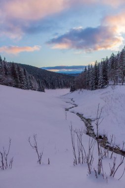 Kış Harikalar Diyarı Thuringian Forest