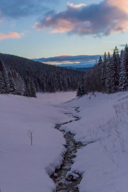 Kış Harikalar Diyarı Thuringian Forest