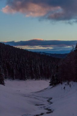 Kış Harikalar Diyarı Thuringian Forest