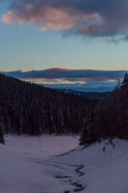 Kış Harikalar Diyarı Thuringian Forest