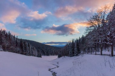 Kış Harikalar Diyarı Thuringian Forest