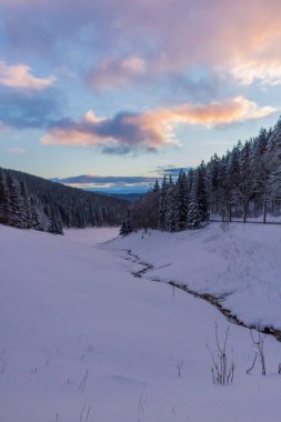 Kış Harikalar Diyarı Thuringian Forest