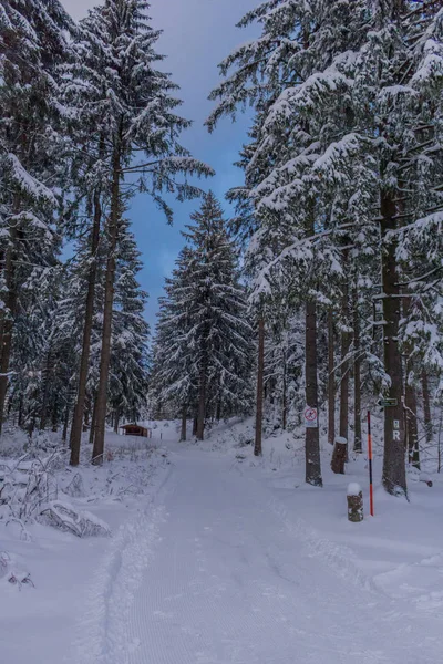 Winterwunderland Thüringer Wald — Stockfoto