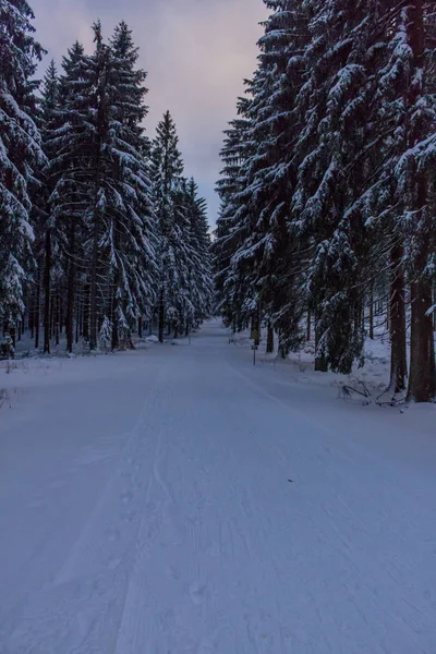 Kış Harikalar Diyarı Thuringian Forest