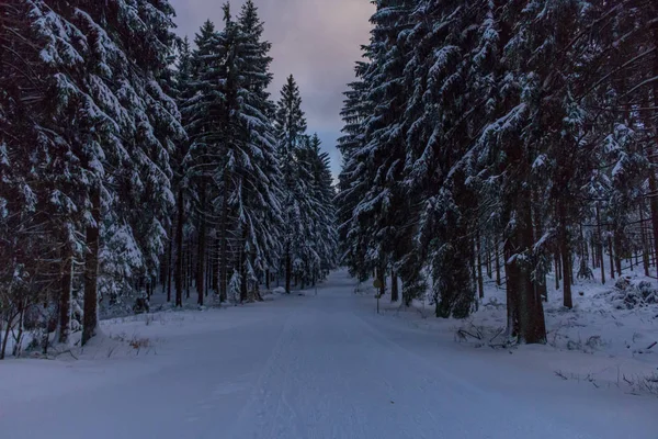 Winterwunderland Thüringer Wald — Stockfoto