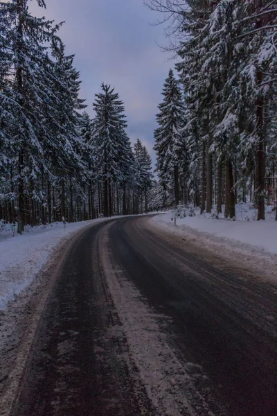 Kış Harikalar Diyarı Thuringian Forest