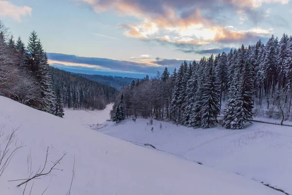 Kış Harikalar Diyarı Thuringian Forest