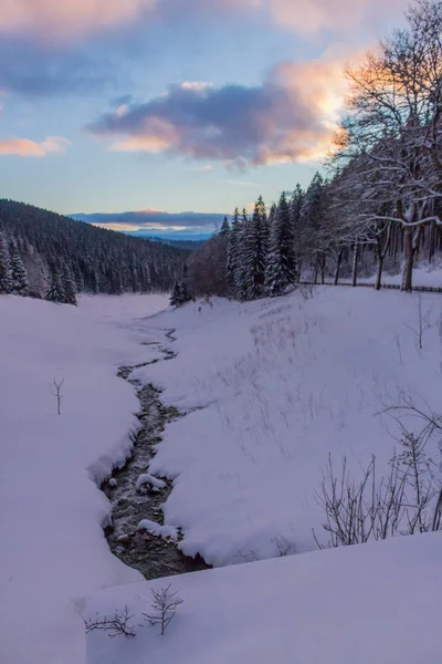 Kış Harikalar Diyarı Thuringian Forest