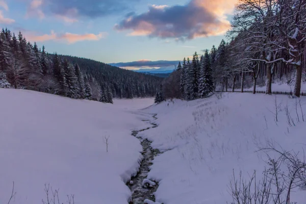Kış Harikalar Diyarı Thuringian Forest