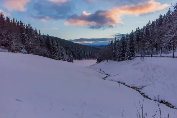 Kış Harikalar Diyarı Thuringian Forest