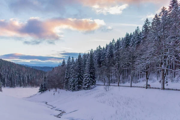 Winter Wonderland Thuringian Forest — Stock Photo, Image