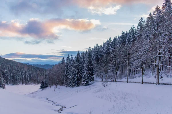 冬のワンダーランド チューリンゲンの森 — ストック写真