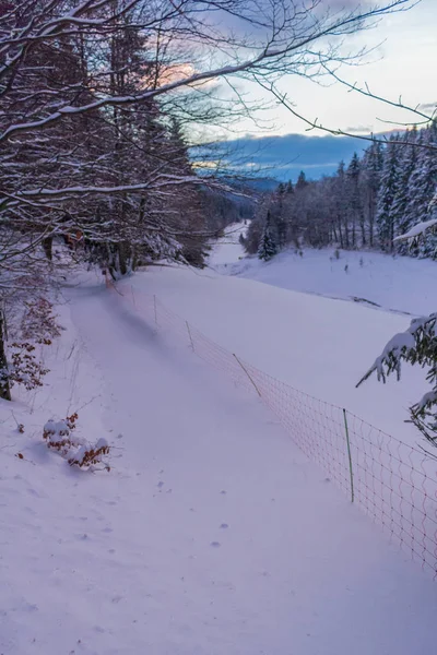 País Das Maravilhas Inverno Floresta Turíngia — Fotografia de Stock