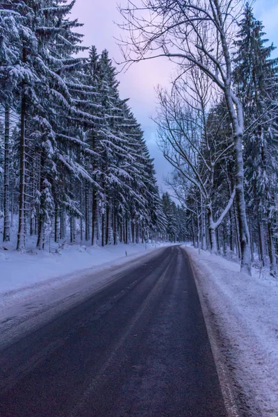 Kış Harikalar Diyarı Thuringian Forest