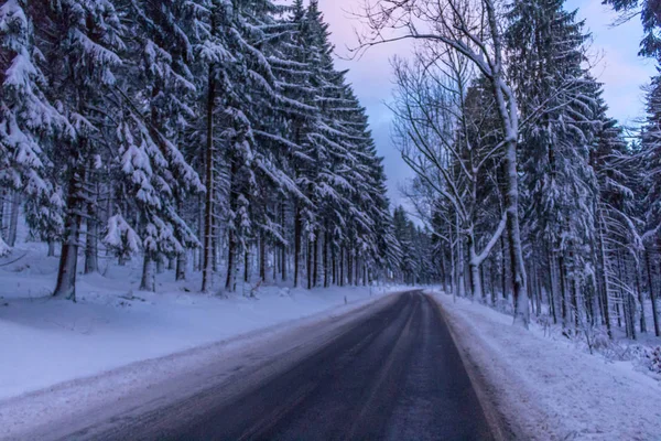 Kış Harikalar Diyarı Thuringian Forest