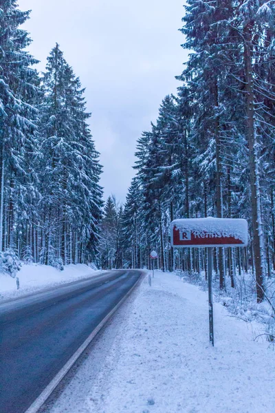 Winter Wonderland Lasu Turyńskiego — Zdjęcie stockowe