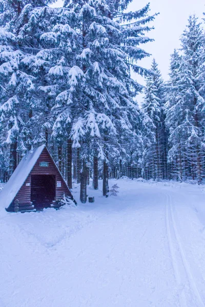 Winterwunderland Thüringer Wald — Stockfoto