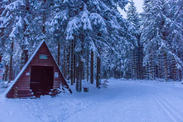 Paese Delle Meraviglie Invernali Foresta Turingia — Foto Stock