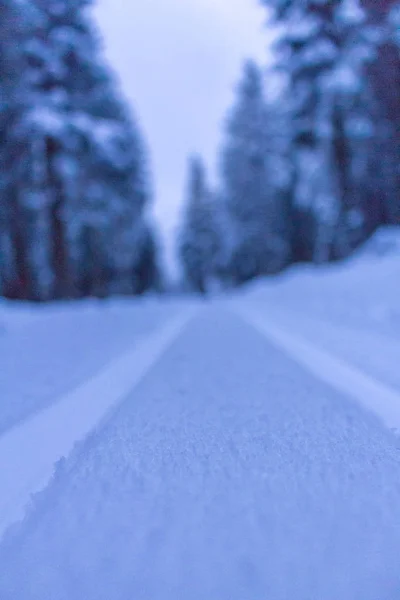 Pays Des Merveilles Hivernales Forêt Thuringe — Photo