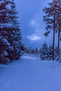 Kış Harikalar Diyarı Thuringian Forest