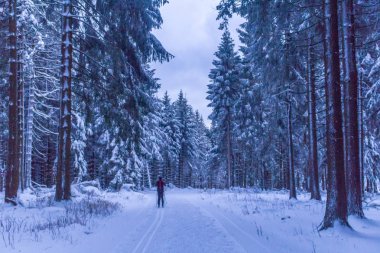 Kış Harikalar Diyarı Thuringian Forest