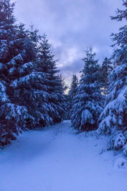 Kış Harikalar Diyarı Thuringian Forest