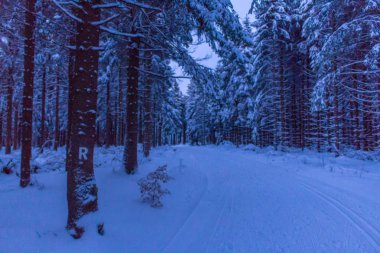 Kış Harikalar Diyarı Thuringian Forest